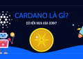Có nên đầu tư ADA Coin?