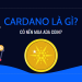 Có nên đầu tư ADA Coin?