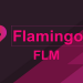 Phân tích và đánh giá FLM/USDT ngày 31/10/2021