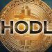 Giá rẻ không phải cốt lõi để giàu trong hold coin