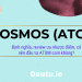 Cosmos ATOM coin là gì, có nên đầu tư không, ưu nhược điểm