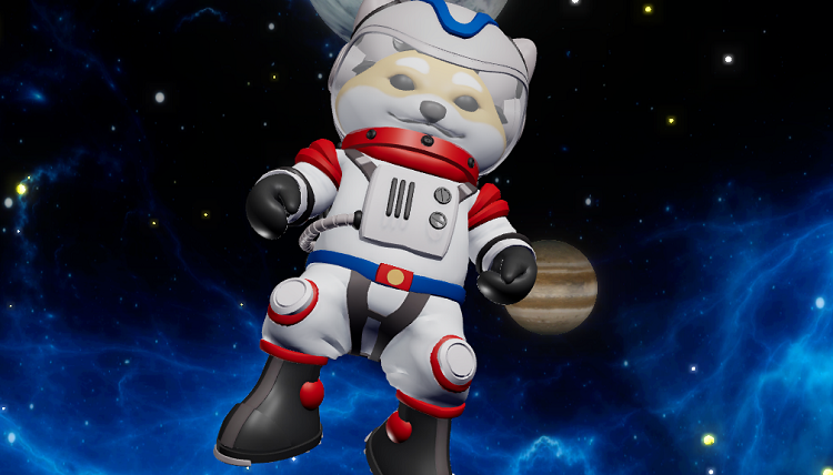 Dogelon Mars là gì? Dogelon Mars là ước mơ bay lên sao hỏa