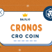 CRO coin là gì? Nên đầu tư CRO coin không?