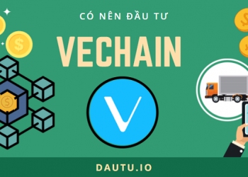Có nên đầu tư VET coin?