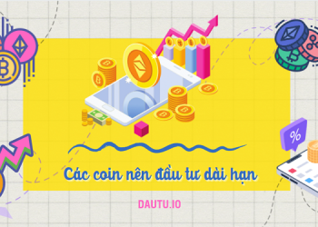 Các đồng coin nên đầu tư dài hạn