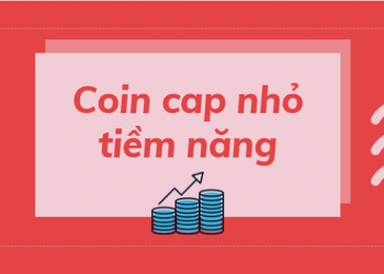 Top những đồng coin vốn hóa thấp tiềm năng