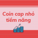 Top những đồng coin vốn hóa thấp tiềm năng