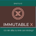 IMX coin là gì?
