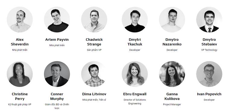 Team phát triển của Skale Network - SKL coin