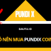 PUNDIX coin là gì, nên đầu tư không?