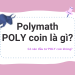 Polymath - POLY coin là gì, có nên đầu tư không?