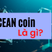 Ocean Protocol - OCEAN coin là gì có nên đầu tư không?