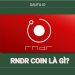 RNDR coin là gì? Nên đầu tư RNDR coin không?