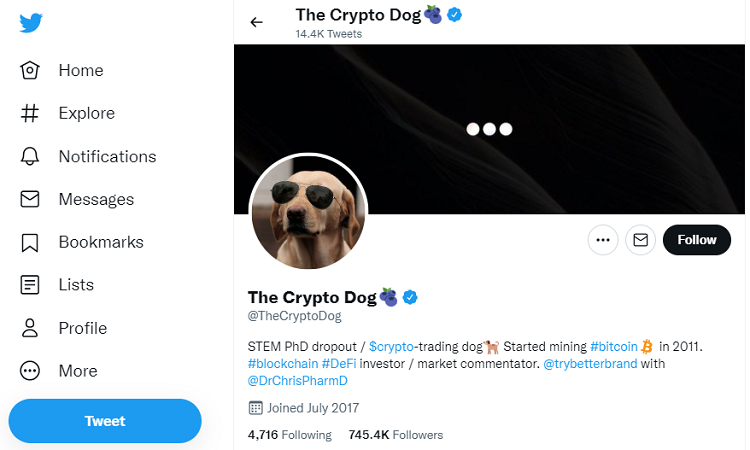 TOP 10 coin trader tốt nhất nên theo dõi trên Twitter