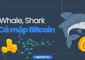 Cá mập Bitcoin là gì? Cá mập thao túng thị trường thế nào?