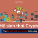 Hệ sinh thái crypto là gì?