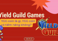 YGG coin là gì, nên đầu tư không?