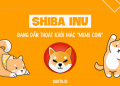 Shiba Inu (SHIB): Dần thoát khỏi mác “meme” để trở thành một đồng coin đầy tiềm năng