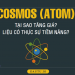Cosmos (ATOM): Blockchain tuyệt vời, nhưng vẫn có NHƯỢC ĐIỂM rất lớn