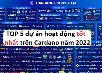 TOP 5 dự án hoạt động tốt nhất trên Cardano ADA 2022 nên quan tâm