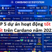 TOP 5 dự án hoạt động tốt nhất trên Cardano ADA 2022 nên quan tâm
