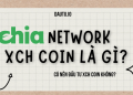 Chia Network - XCH coin là gì, có nên đầu tư không