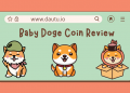 Review Baby Doge coin