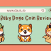 Review Baby Doge coin