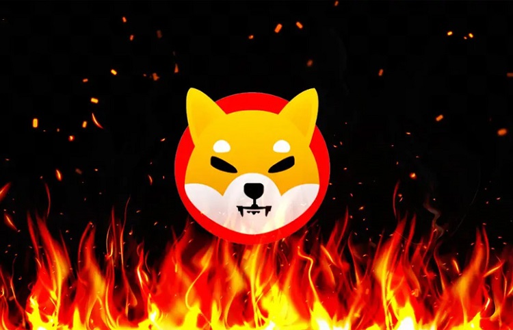 Shiba Inu SHIB vs Dogecoin DOGE - đồng meme coin nào tiềm năng hơn