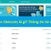 Sàn Obtccoin là gì, thông tin cơ bản nên biết