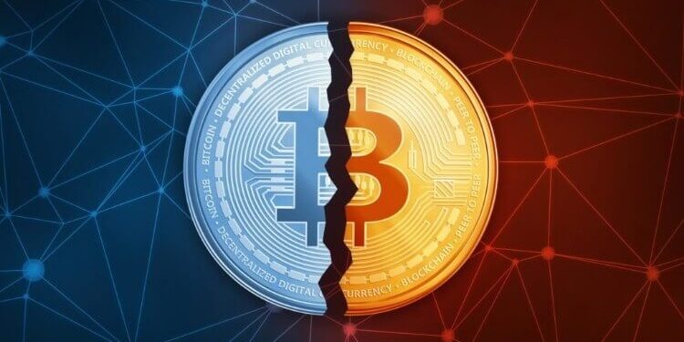 Nếu lịch sử Bitcoin Having lặp lại, giá BTC có thể đã chạm đáy !!!
