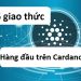 TOP dự án blockchain hàng đầu trên Cardano ADA.