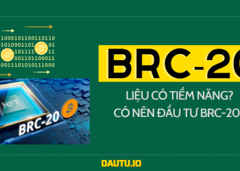 TOken BRC-20 là gì?