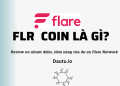 FLR coin là gì? Có nên đầu tư không? Review dự án Flare Network