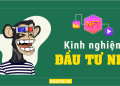 Chia sẻ kinh nghiệm đầu tư NFT