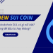 SUI coin là gì, nên đầu tư không?