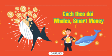 Hướng dẫn theo dõi ví cá voi tiền điện tử